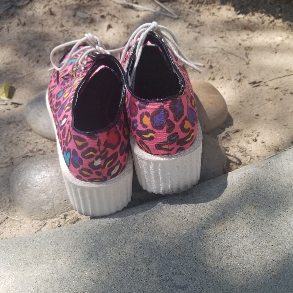 Rainbow leopard creepers - Picture 3 of 4